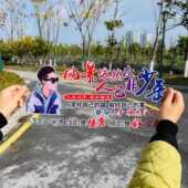 风景依然在车贴汽车后窗车贴车身车门个性 饰贴纸 文字后挡风玻璃装