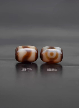 天然西藏精品虎牙三眼牙黄天珠桶珠配珠文玩佛珠手串项链顶珠配饰