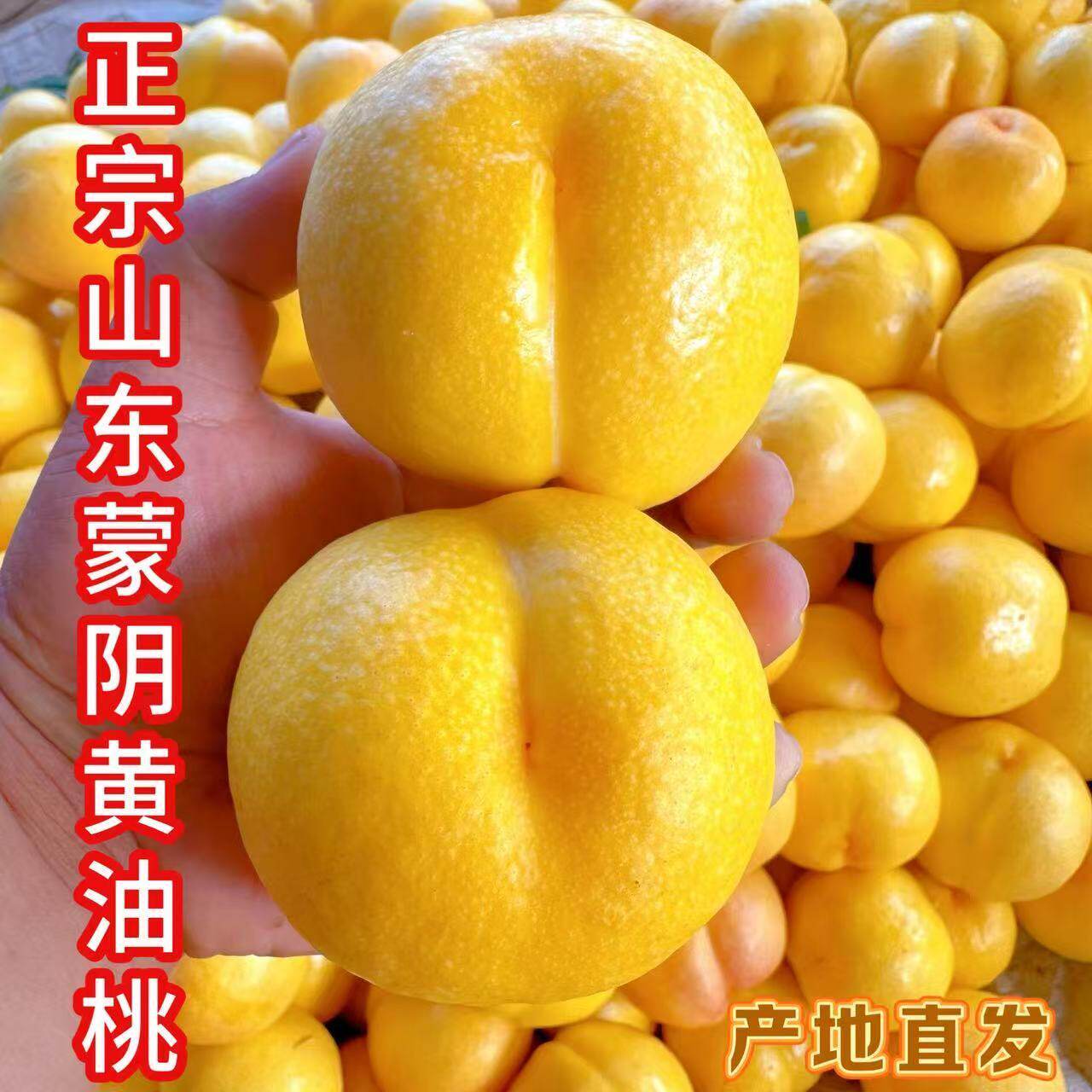 桃子新鲜蒙阴黄桃黄金油桃水果当季新鲜整箱山东脆桃黄油桃5斤