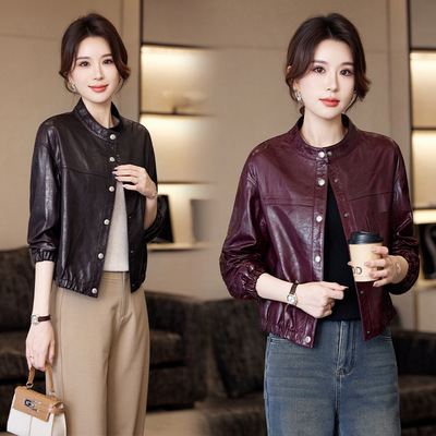复古黑色立领小皮衣外套女小个子短款2025新款机车真皮绵羊