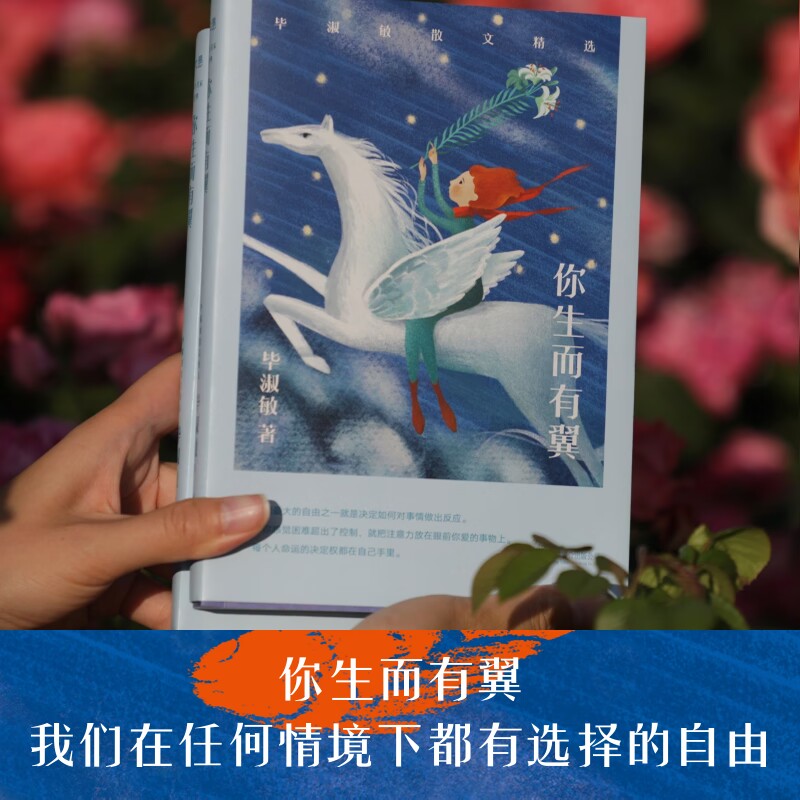 毕淑敏散文精选心理随笔经典