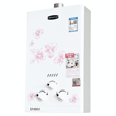 燃气热水器奇田配漏保插头强排式