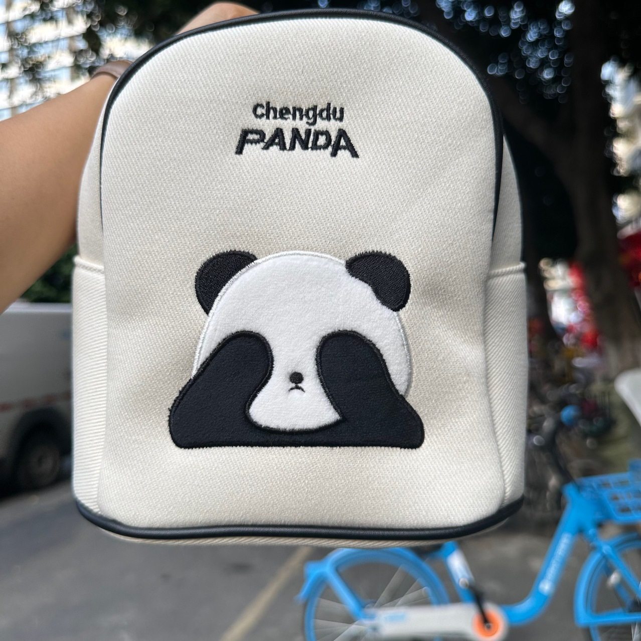 成都文创熊猫背包纪念款单肩帆布包外出双肩熊猫包包竹刺绣新款