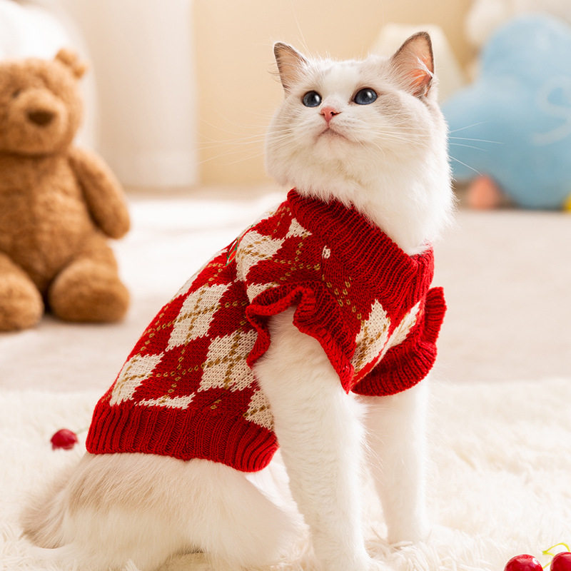 秋冬季猫咪小飞袖无毛猫