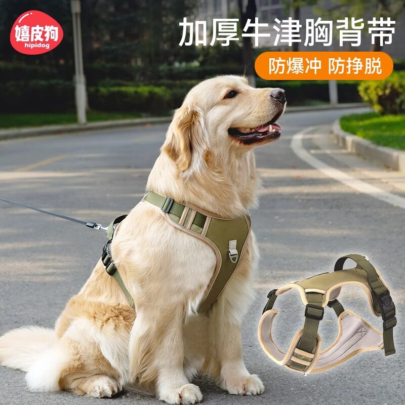 大狗荧光胸背带牵引绳中