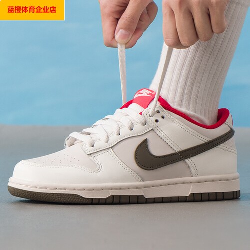 NIKE女鞋休闲鞋DUNK LOW (GS)板鞋大童鞋潮流运动鞋IQ9793