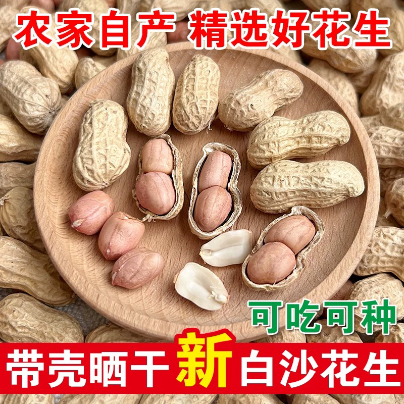 带壳生花生新鲜饱满颗粒干花生大花生农家自种晒干白沙果高产