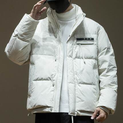 鸭绒防风防皱户外休闲羽绒服男2024冬季新款短款保暖宽松大码外套