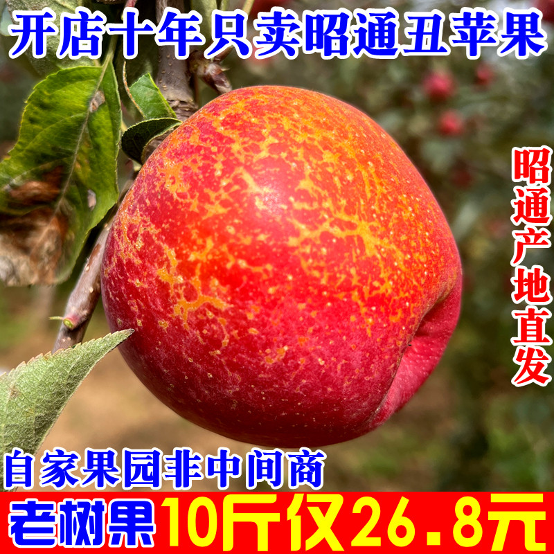 这是一家卖了10年昭通丑苹果的店