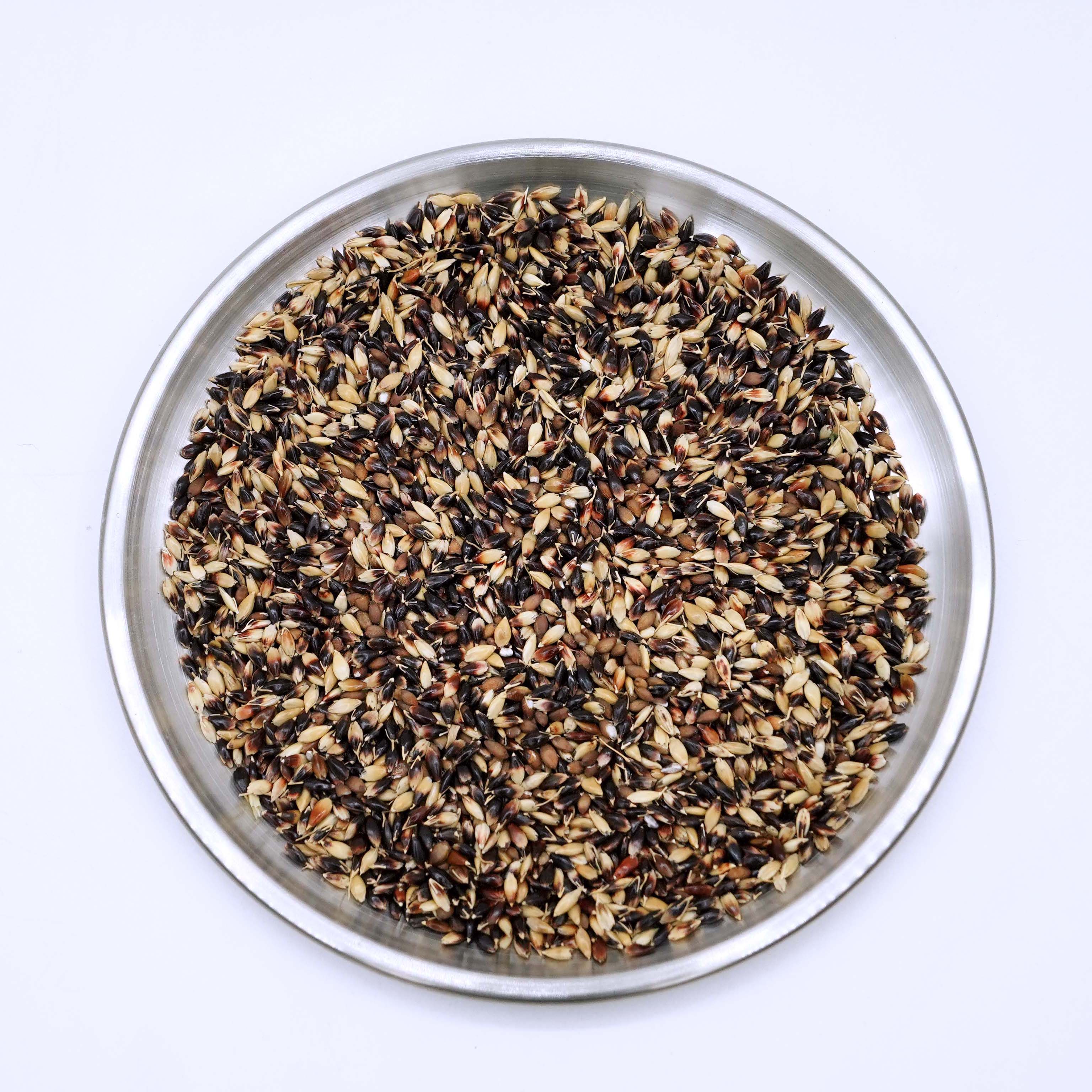 鸟粮苏丹草籽鸽子斑鸠苏丹草籽