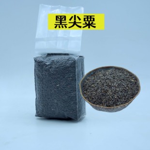 黑尖粟尼日尔草籽玉鸟上性粮尼日尔籽子鹦鹉鸟类繁殖粮上膘粮