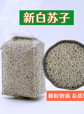 白苏子中大颗粒白苏子黄雀玉鸟鸟粮芙蓉鸟上膘鸟食油料苏子鸟饲料