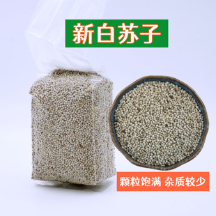 白苏子中大颗粒白苏子黄雀玉鸟鸟粮芙蓉鸟上膘鸟食油料苏子鸟饲料