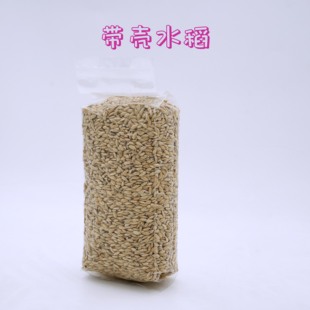 鸟粮水稻鸡饲料稻谷带壳大米斑鸠鸽子粮稻谷蜡嘴粮水稻米带壳