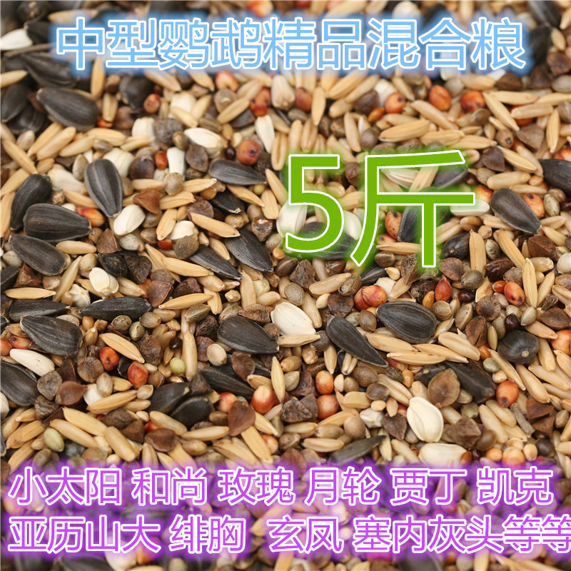 锥尾鹦鹉鸟粮小太阳和尚金太阳鹦鹉混合营养种子粮蜡嘴瓜子营养粮