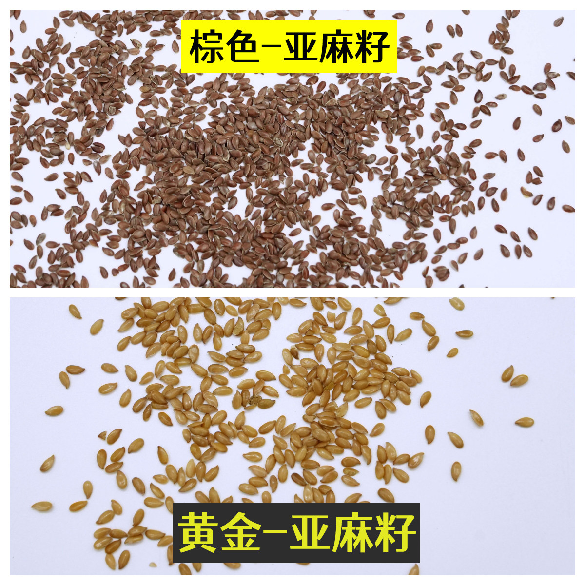 新亚麻籽鸟粮油料玉鸟黄雀棕红亚麻籽鸟食油麻料金丝雀亚麻籽饲料
