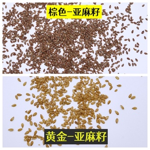 新亚麻籽鸟粮油料玉鸟黄雀棕红亚麻籽鸟食油麻料金丝雀亚麻籽饲料