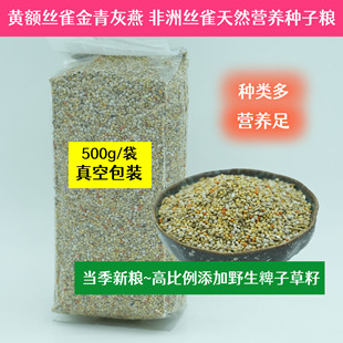 金青黄额丝雀灰燕加纳鸟粮营养鸟食非洲大金黄丝雀专用粮谷子饲料