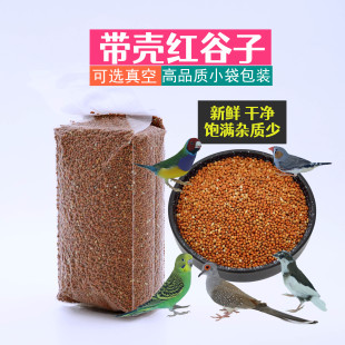 主新红谷子鸟粮鹦鹉文鸟红谷子饲料红谷红粟谷子虎皮红玉鸟食饲料