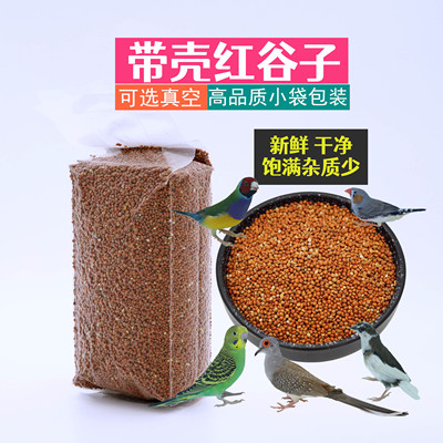 红谷子杂红谷鸟食鸟粮红色谷子