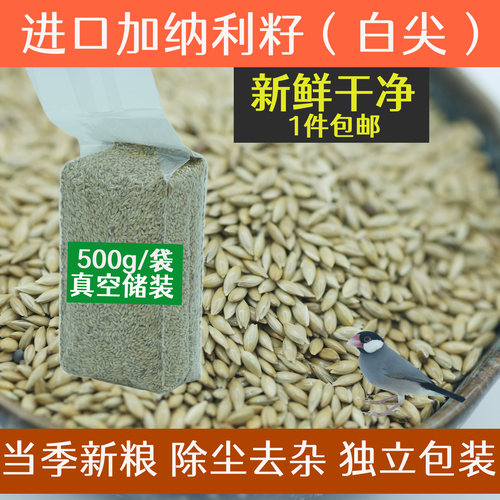 鹦鹉粮加纳利子鸟粮加纳利子白尖