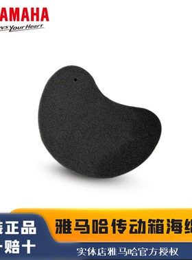 雅马哈踏板摩托车传动箱海绵适用巧格iplus兴赛鹰福禧125巡鹰过滤