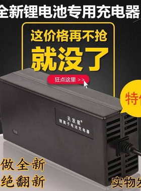 锂电池电动车充电器36V42V2A3A电车锂离子哈雷平衡车通用充电器