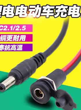 DC公母头电动自行车锂电充电器输出线36v/48v公母座圆头DC2.1/2.5