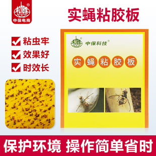 粘虫板黄板果实蝇小飞虫诱虫板大棚苍蝇贴果园蓟马蚜虫蚊子诱捕器
