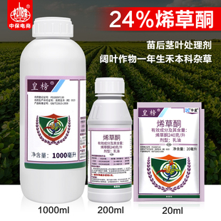 华星皇榜 24%烯草酮铜油菜田大豆田一年生禾本科阔叶杂草除草剂