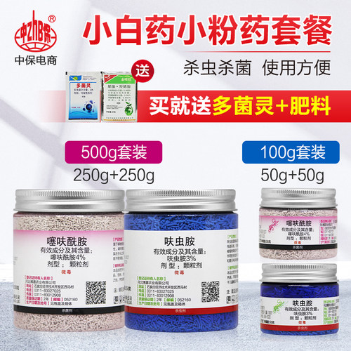 仙葩小白药黑腐烟煤蚧壳虫月季