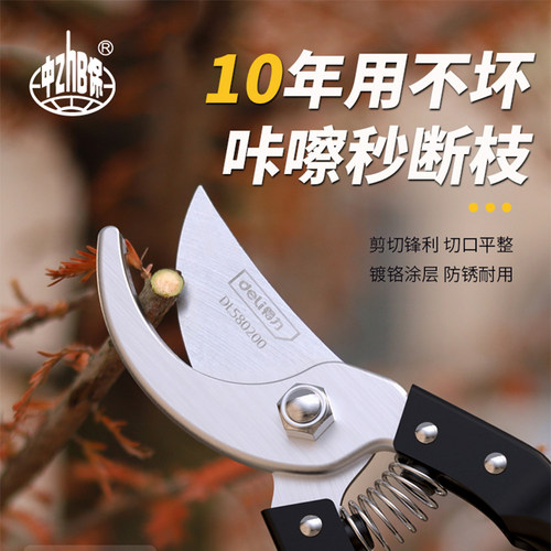 得力园艺剪树枝蔬果剪刀果树修枝