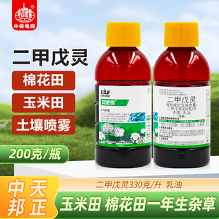 330克/升二甲戊灵戍灵玉米田棉花田苗前封闭除草一年生杂草除草剂