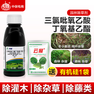 利尔屠灌林保三氯吡氧乙酸灌木乔木阔叶杂草烂根园林冬小麦除草剂
