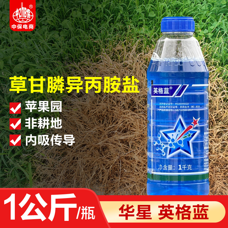 华星英格蓝41%草甘膦异丙胺盐一年生及部分多年生杂草农药除草剂