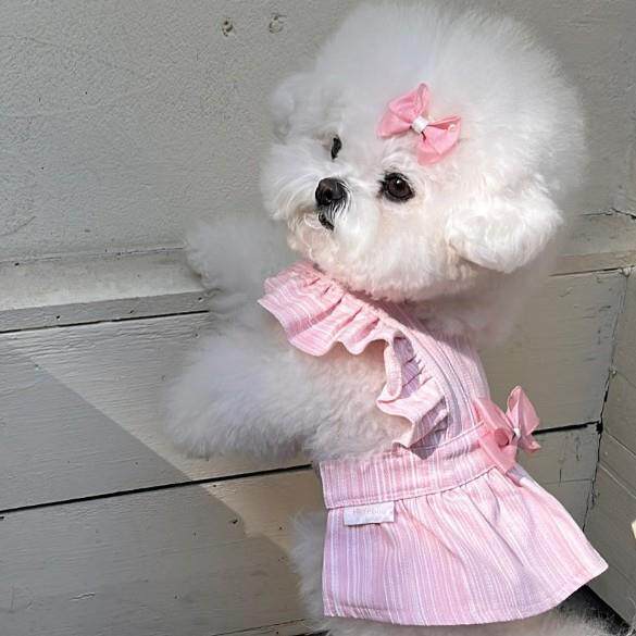 【新品预售】新款狗狗裙子春夏季公主风中小型犬比熊猫咪宠物衣服