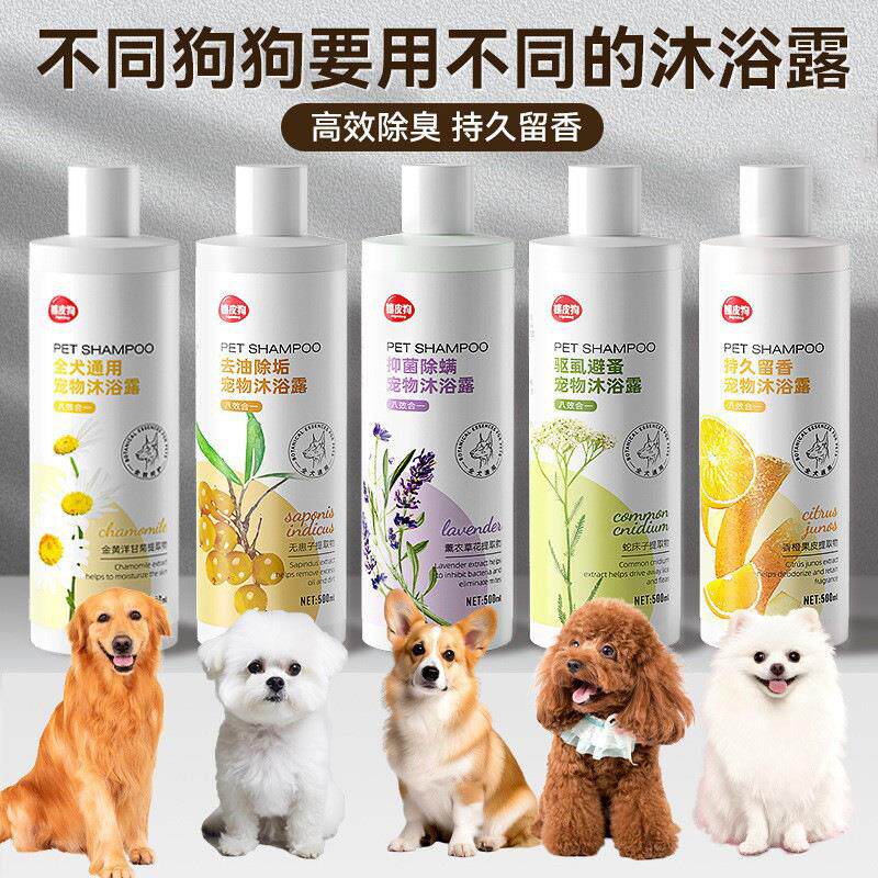 狗狗沐浴露多效合一除臭沐浴液中小型犬宠物泰迪博美专用香波浴液