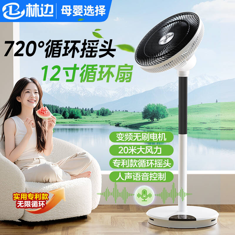 林边摇头12档大风力空气循环扇