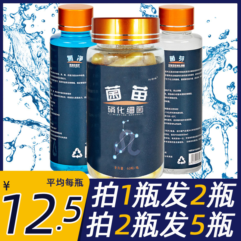 鱼缸硝化细菌菌苗消化细菌水质稳定剂分解粪便去浑水除氯免困水