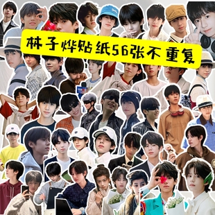 林子烨周边手帐贴纸笔记文具日记盒笔筒照片装饰异形贴画DIY礼物