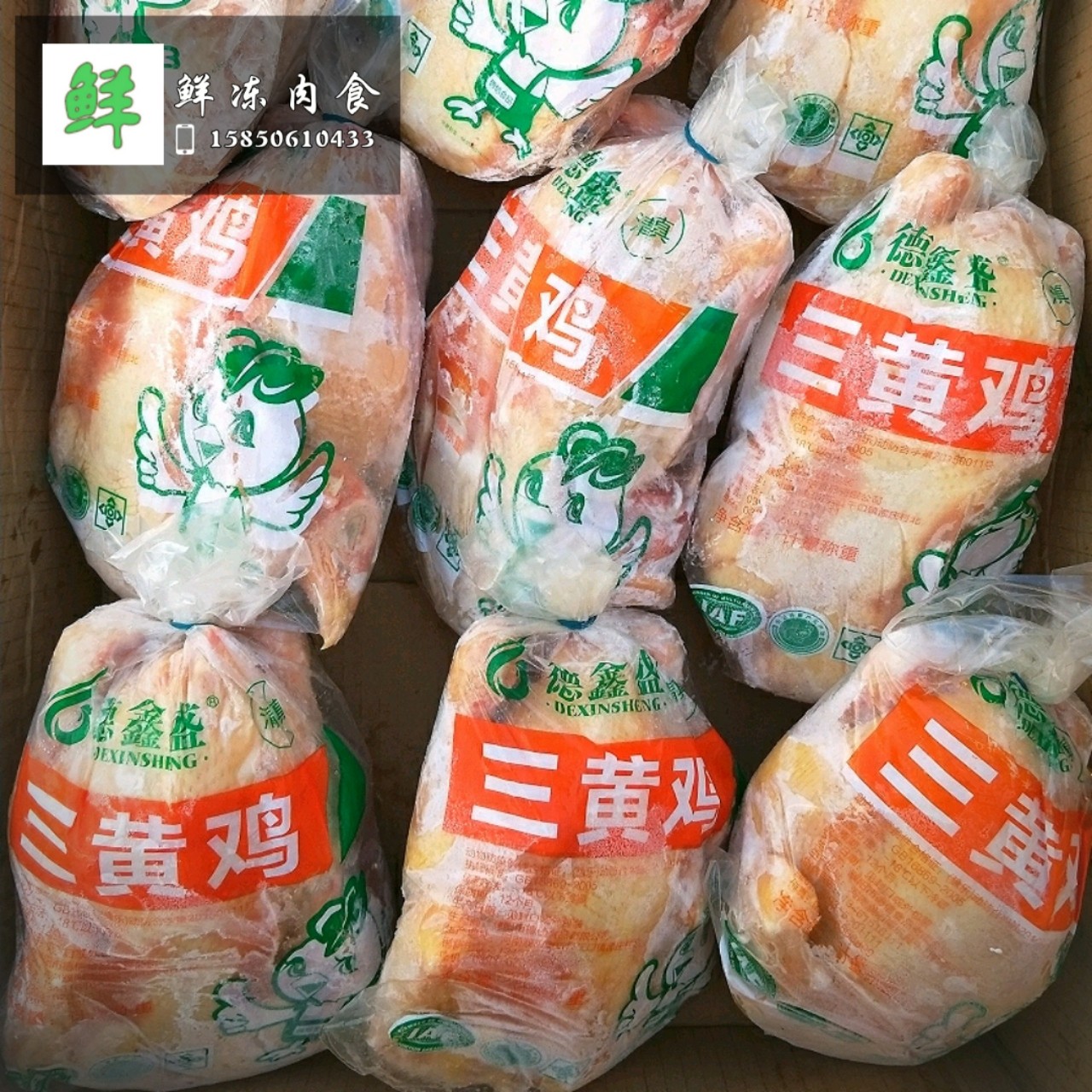 新鲜冷冻三黄鸡童子鸡乡村土鸡19斤/箱饭店食材苏浙沪皖包邮_虎窝淘