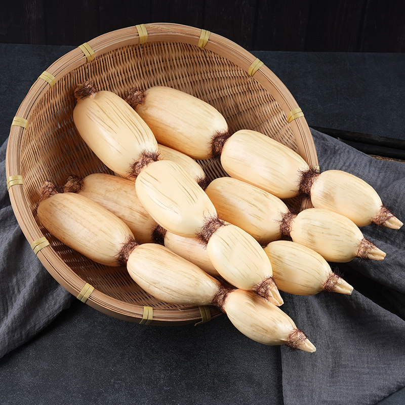 仿真藕模型藕片莲藕果蔬菜烧烤橱柜农家装饰拍摄道具DIY发饰玩具