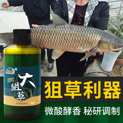添加剂黑坑野钓渔具草鱼饵