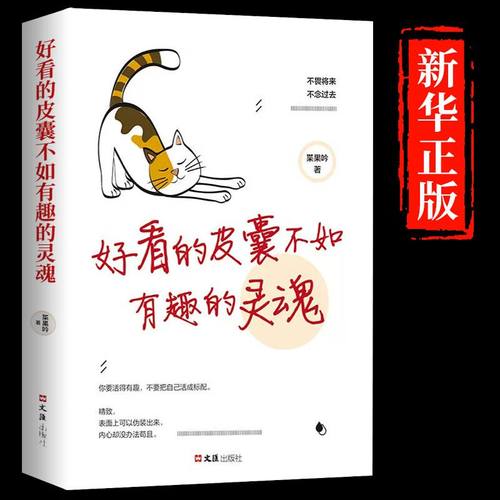 好看的皮囊不如有趣的灵魂励志书