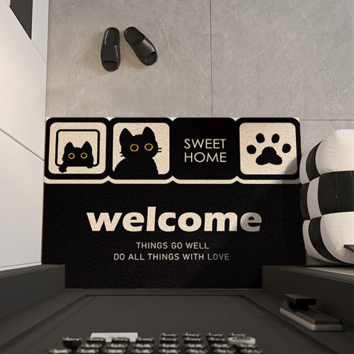 入户门丝圈地垫玄关入户地毯