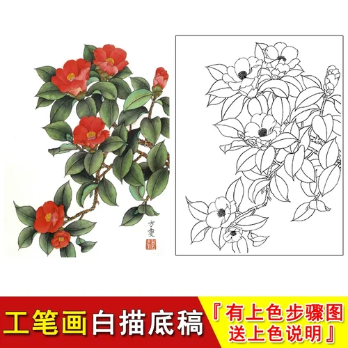 白描稿工笔底稿国画有步骤适合初学练习起稿上色实物打印稿YB08