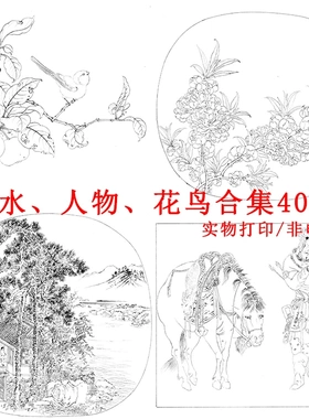 工笔画白描画稿素材宋小品花鸟人物山水线描A3高清实物40幅无彩图