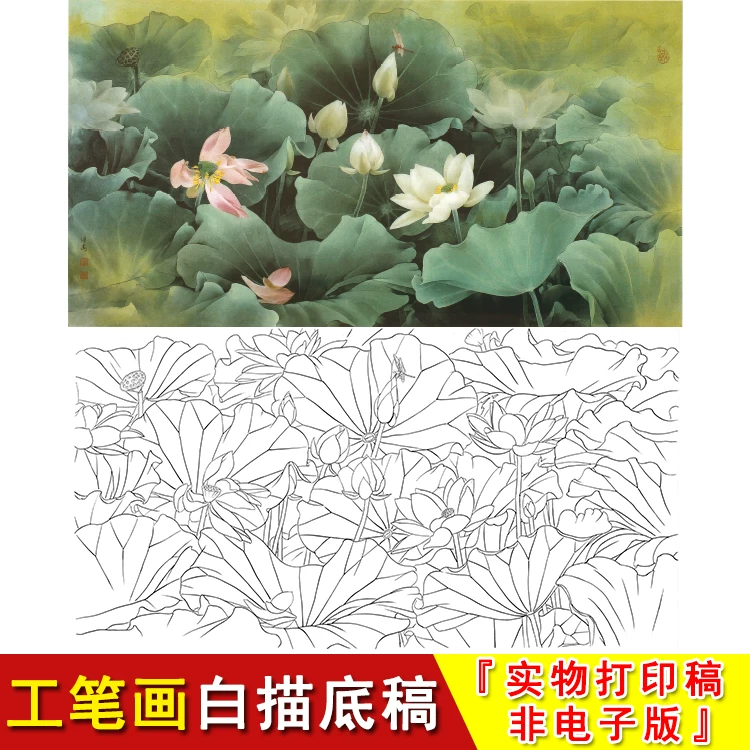 工笔画白描底稿-荷花蜻蜓-邹传安横幅花鸟-大幅临摹素材实物A031
