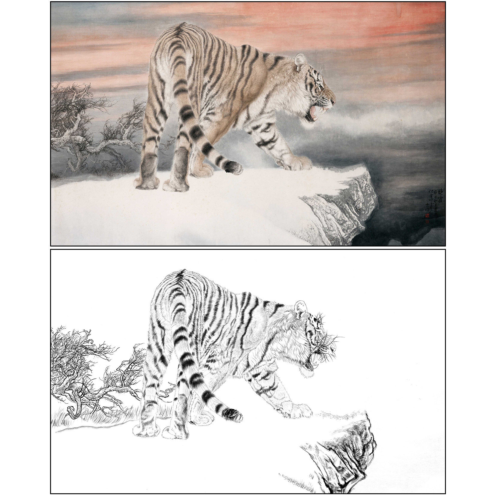 老虎工笔画白描底稿冯大中《晚霞》动物临摹实物白纸打印线稿DZ14