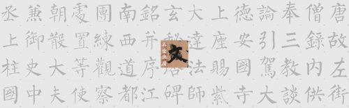 玄秘塔水写布 大字柳公权柳体楷书免墨汁免纸张清水万次练字